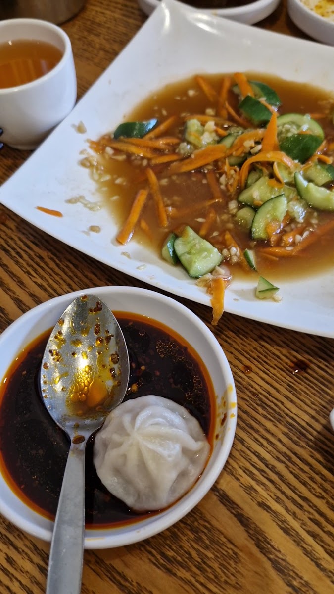 Sydney Dumpling King Burwood-2