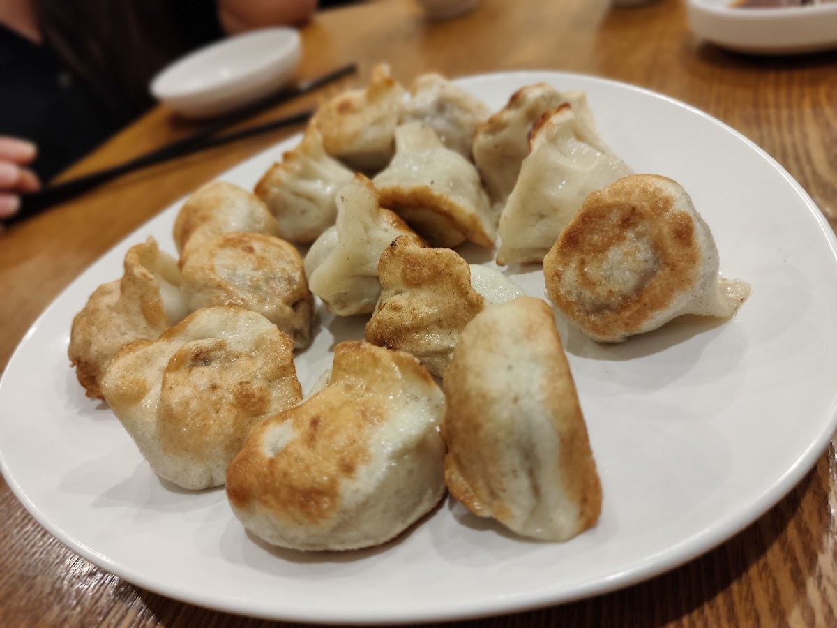 Sydney Dumpling King Burwood-5